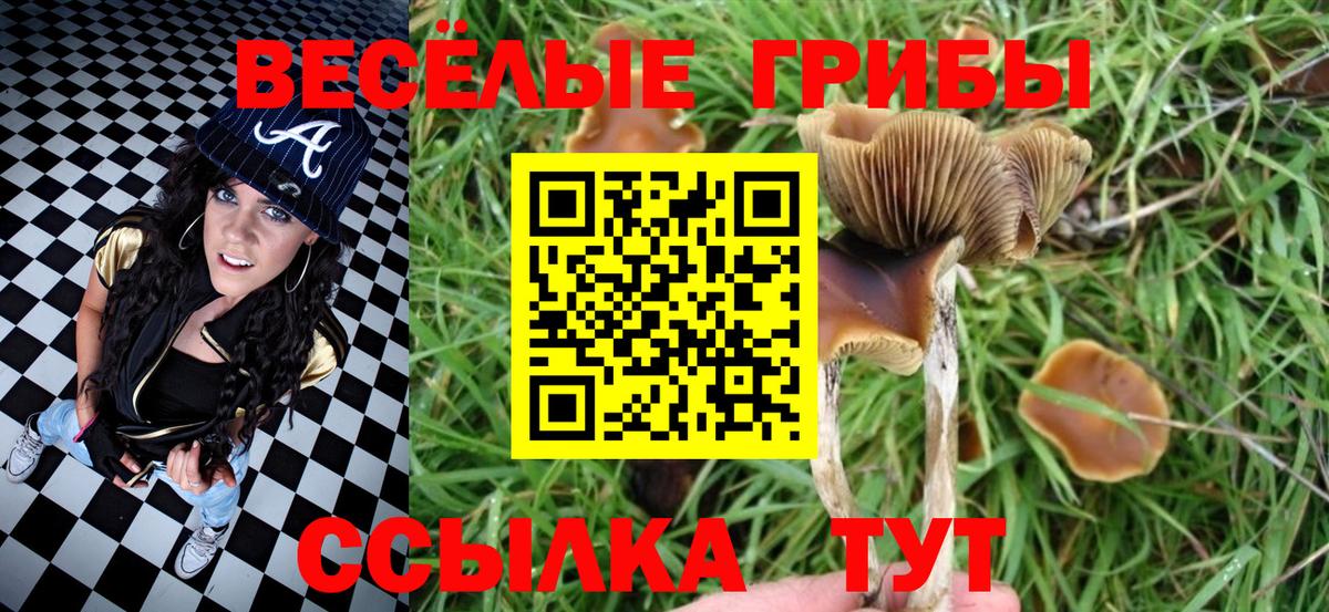 Галлюциногенные грибы MAGIC MUSHROOMS  Галлюциногенные грибы Psilocybine cubensis  Хабаровск  Вход с VPN 