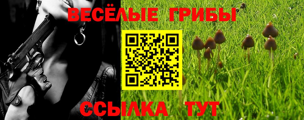Псилоцибиновые грибы ЛСД Хабаровск